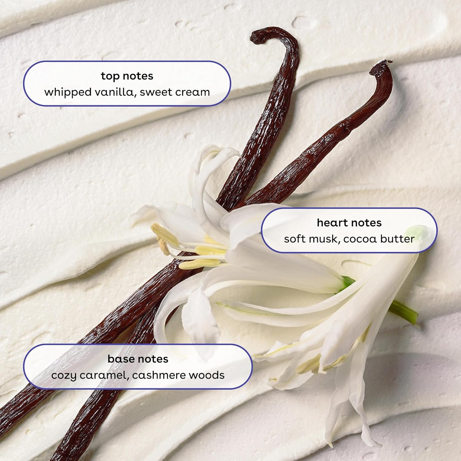 Vanilla Cashmere Body Wash